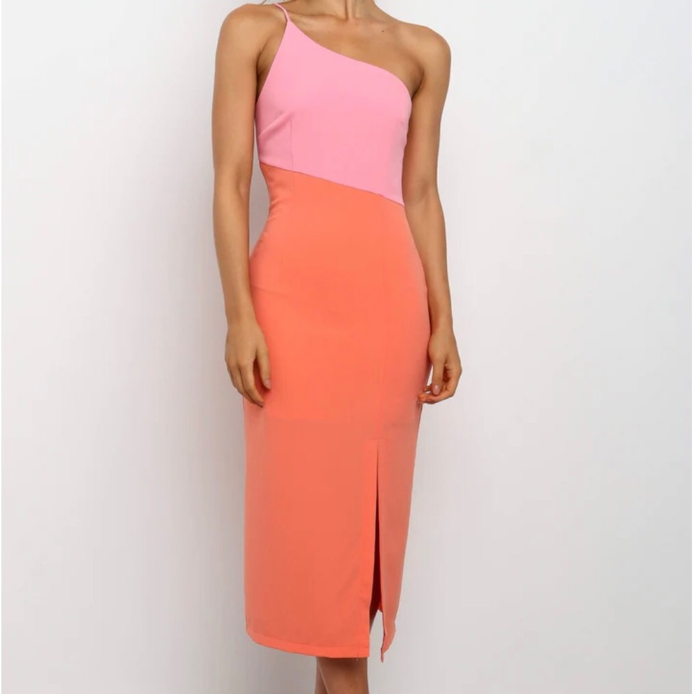 Petal and Pup Color Block Dress